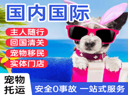 济南遥墙机场邮寄国际宠物托运 【国